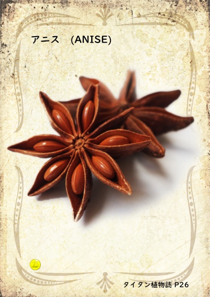 ハーブカード inタイタン植物誌 pdf版