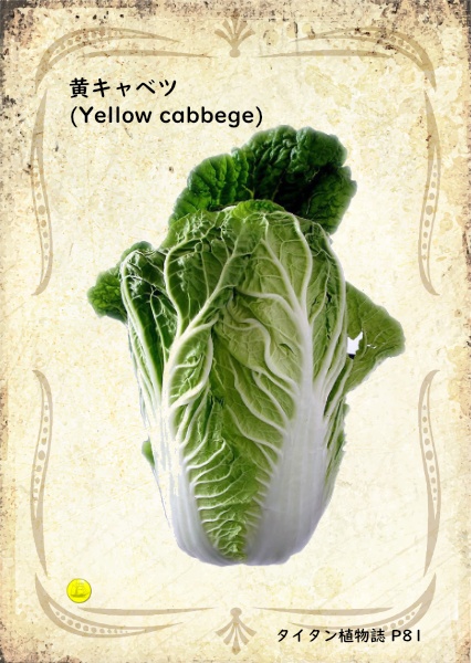 ハーブカード inタイタン植物誌 pdf版