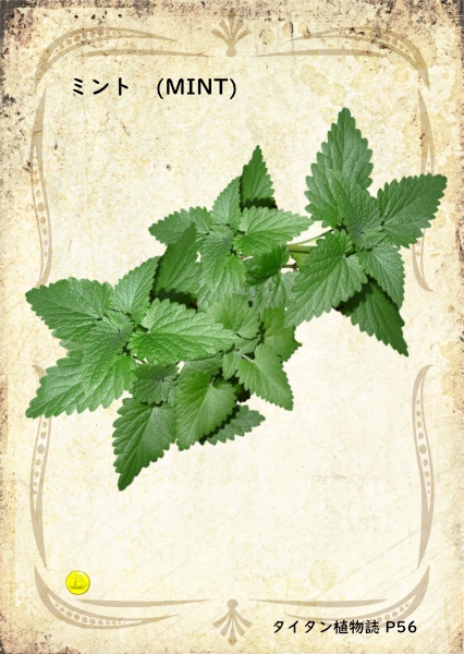 ハーブカード inタイタン植物誌 pdf版