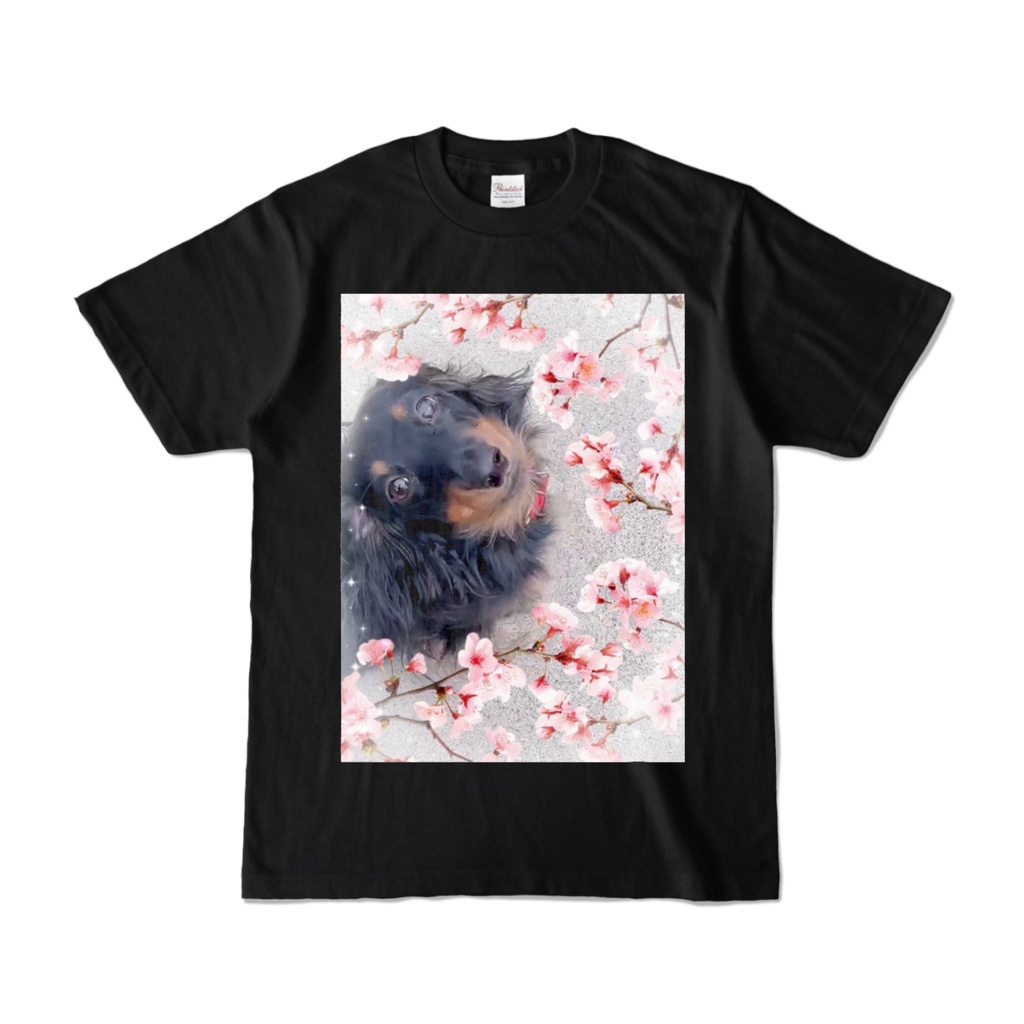 半袖Tシャツ BK／桜 CONY（写真）