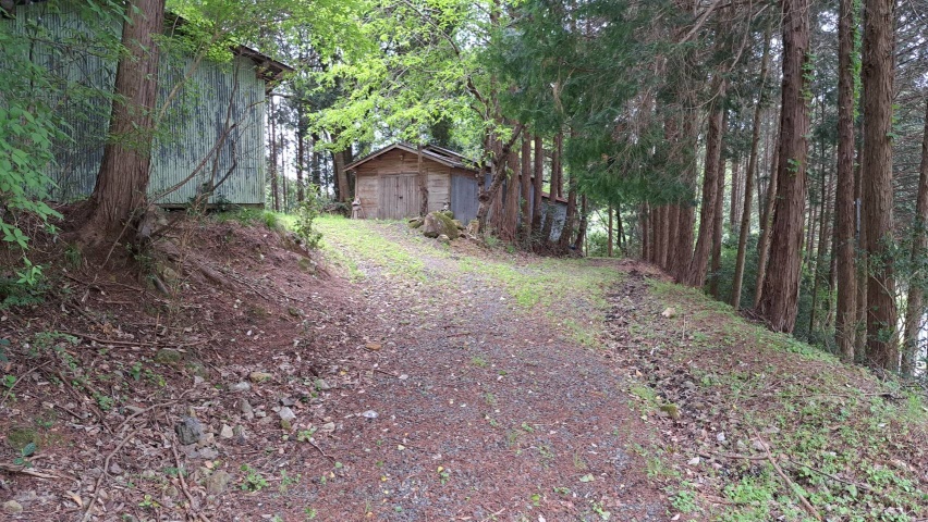 道の有る風景