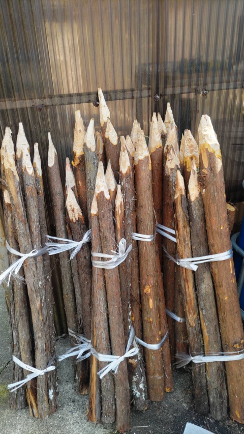 日常・非日常的小物素材集編