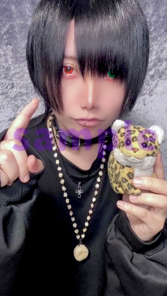 🌟❤️生誕祭💚🌟ブロマイド16種