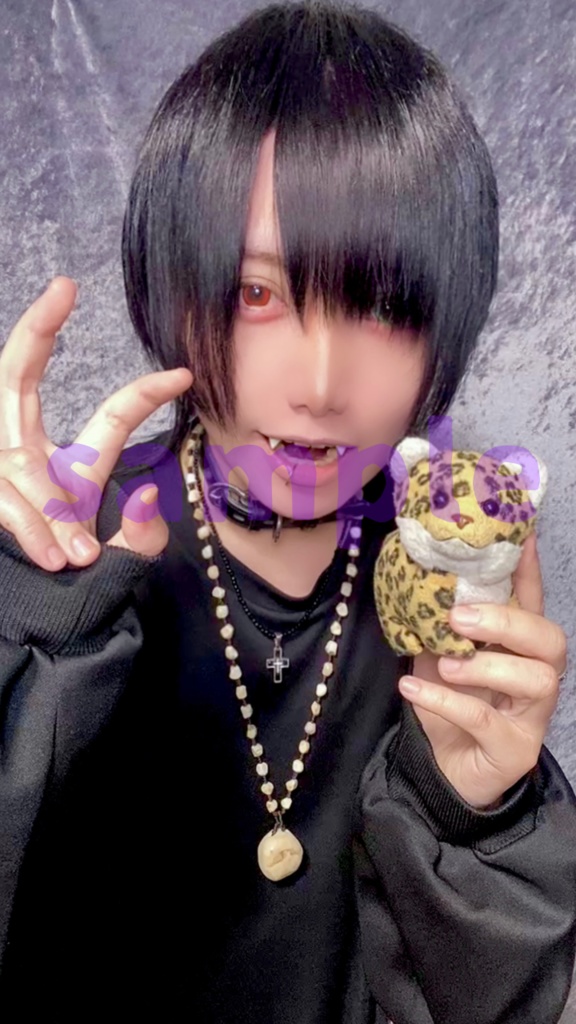 🌟❤️生誕祭💚🌟ブロマイド16種