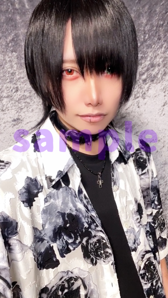 🌟❤️生誕祭💚🌟ブロマイド16種