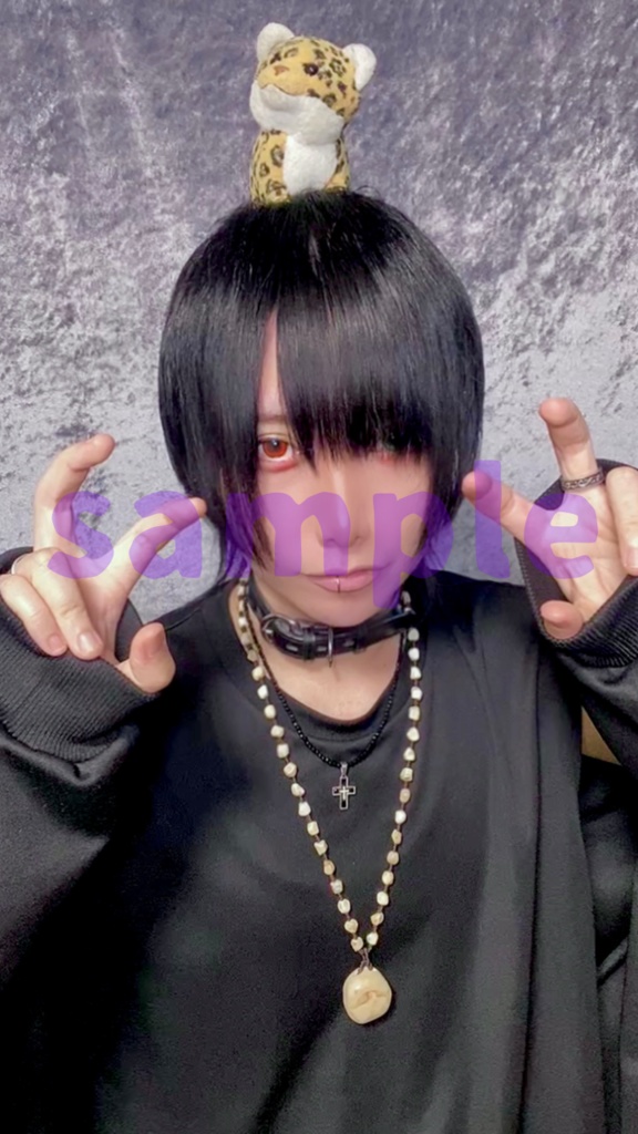 🌟❤️生誕祭💚🌟ブロマイド16種