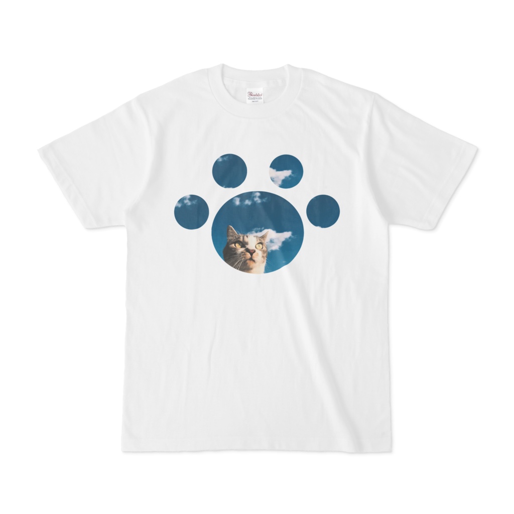 猫と青空