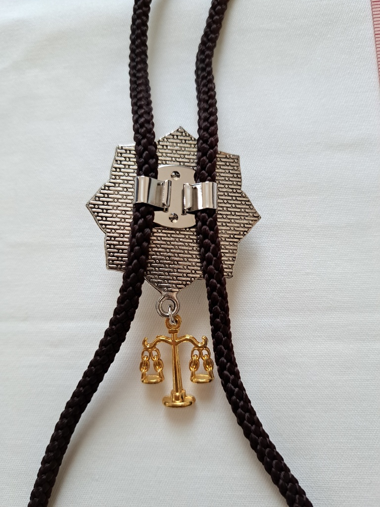 逆転裁判5中心 キャラクターイメージアクセサリー