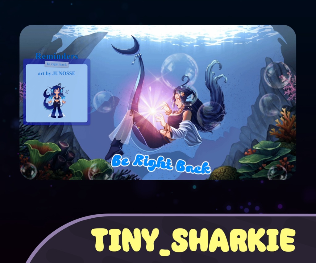 CUSTOMISABLE stream notes | BRB notes rotator | Twitch, Streamlabs, OBS | Streaming assets