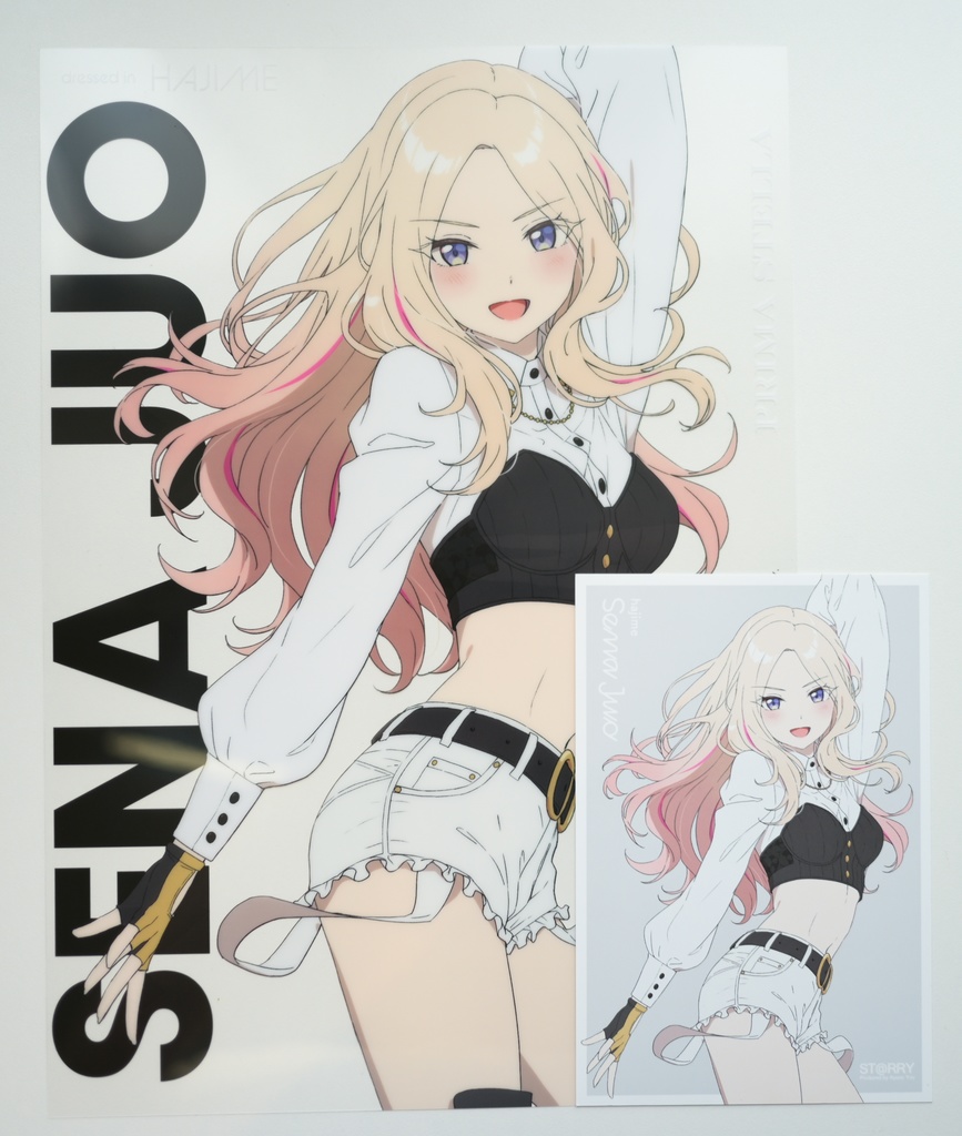十王星南クリアポスター＆ポストカードセット