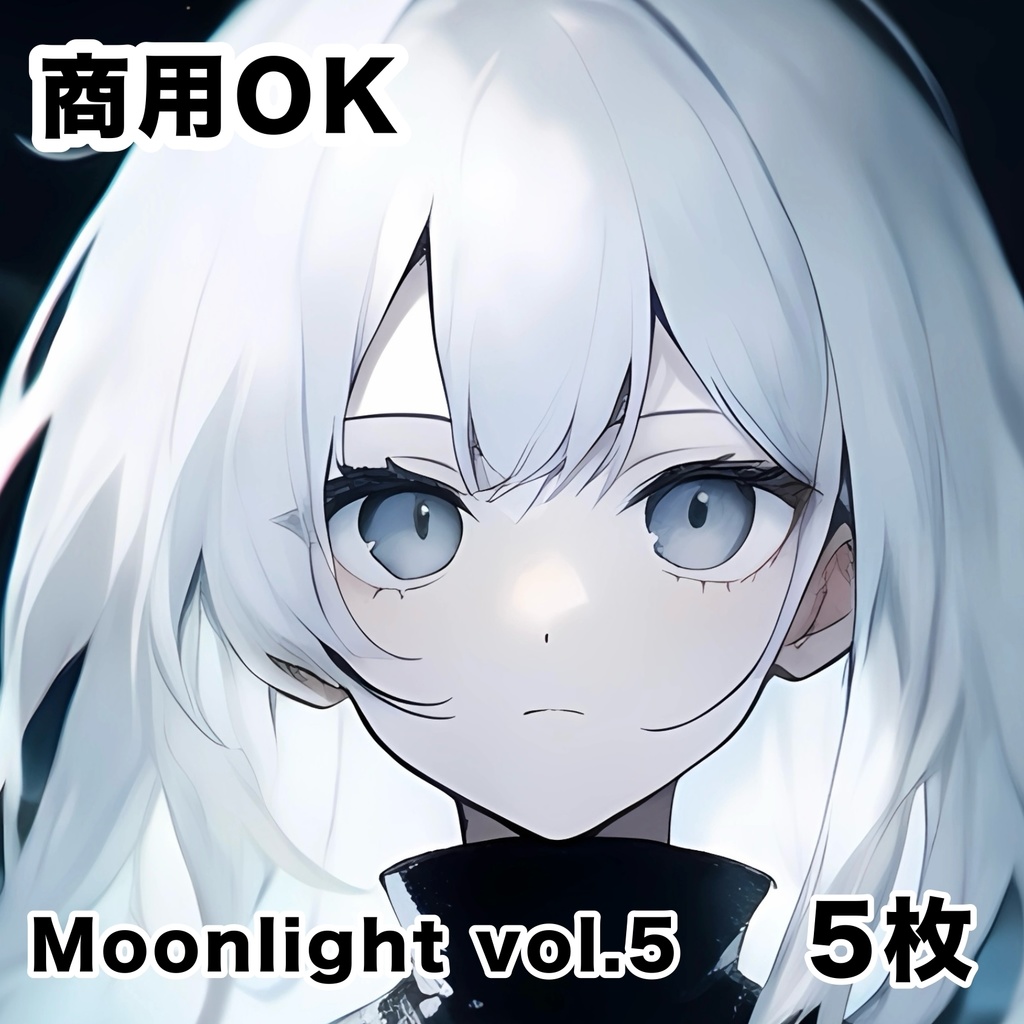 Moonlight vol.5 ー 雪 ー