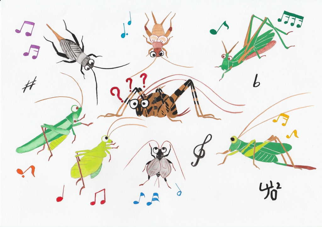 キリギリスたちの音楽会とカマドウマのトートバッグ