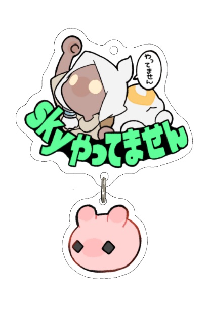 skyやってませんアクキー（N）