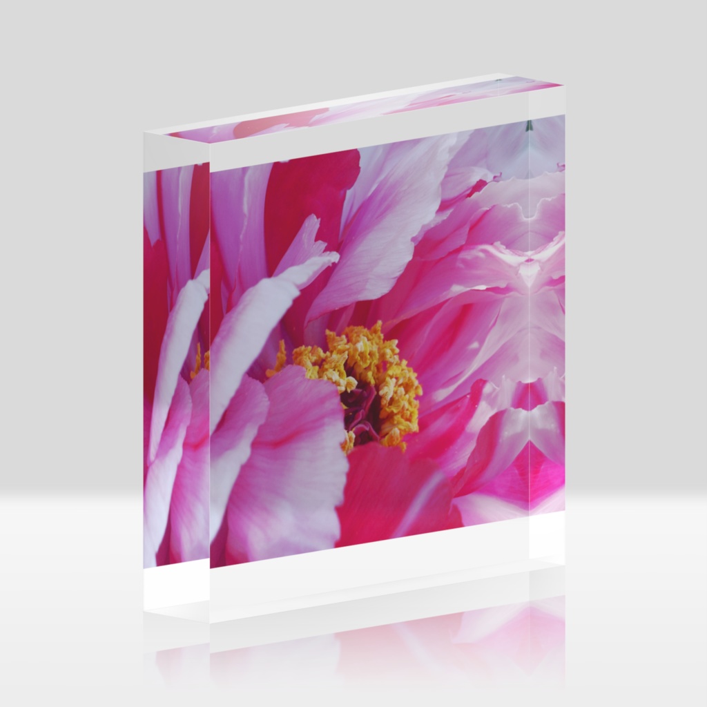 花ひら