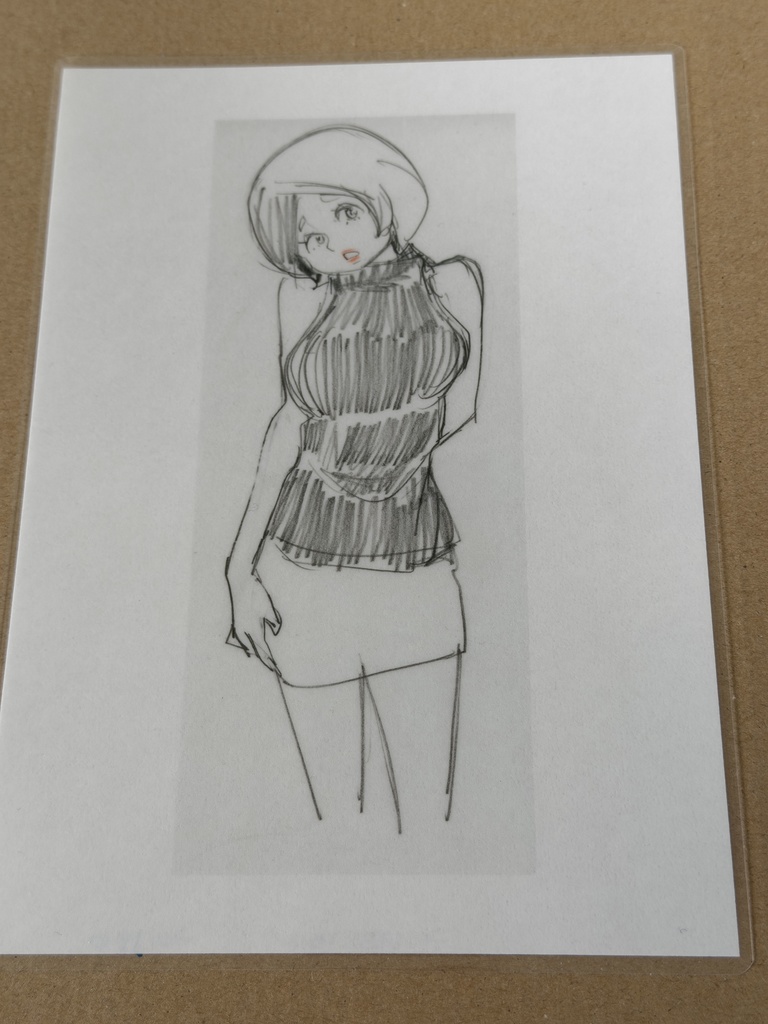 イラストラミネート加工A5