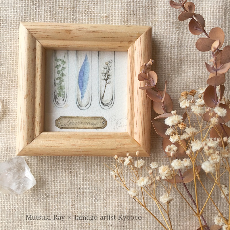 ミニ原画 -硝子標本-