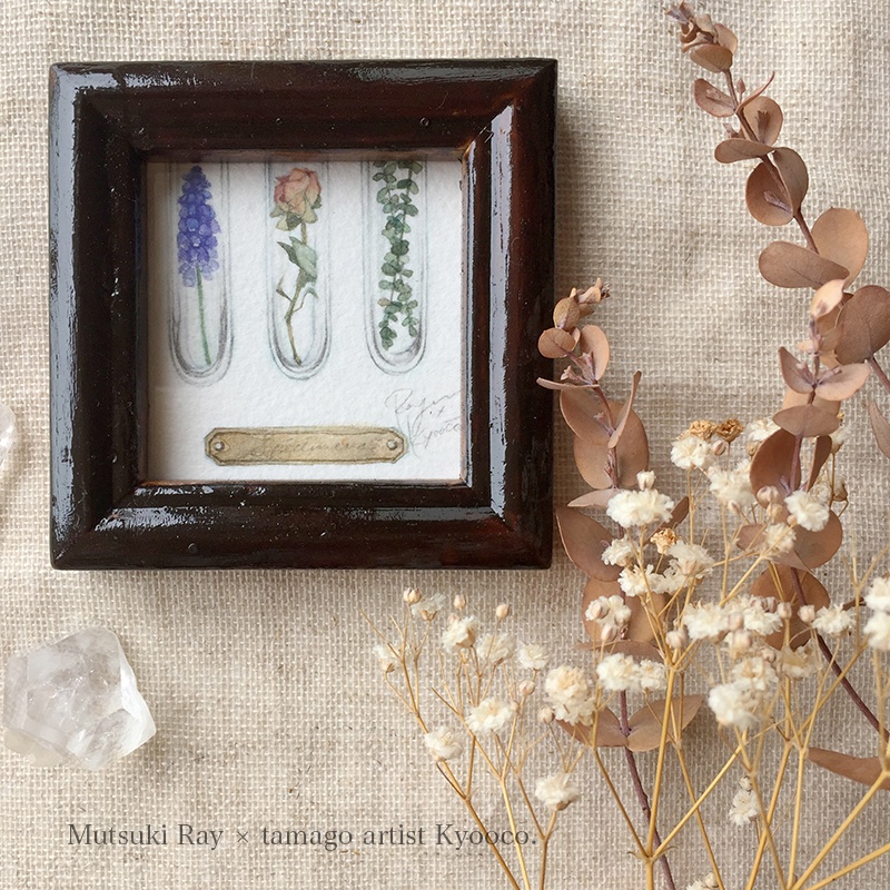 ミニ原画 -硝子標本-