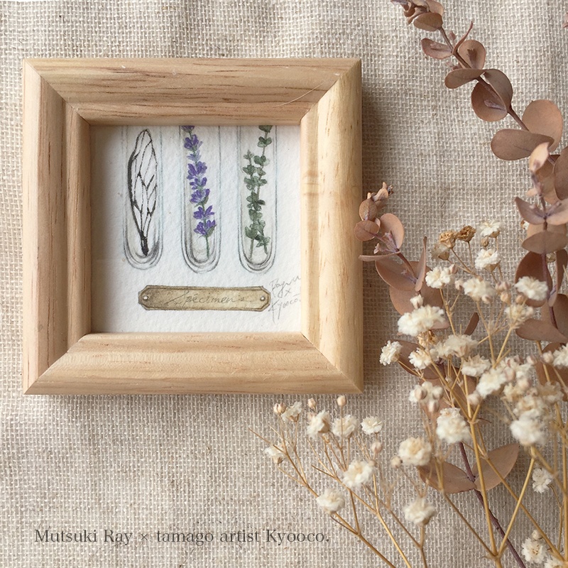 ミニ原画 -硝子標本-