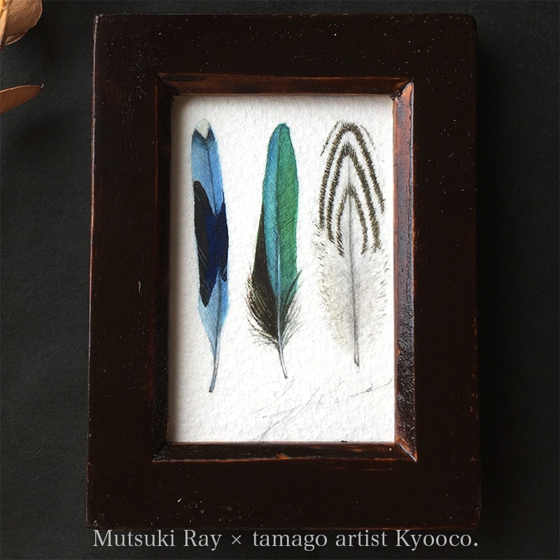 ミニ原画 -羽標本-