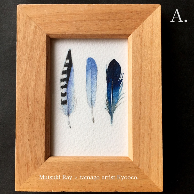 ミニ原画 -羽標本-