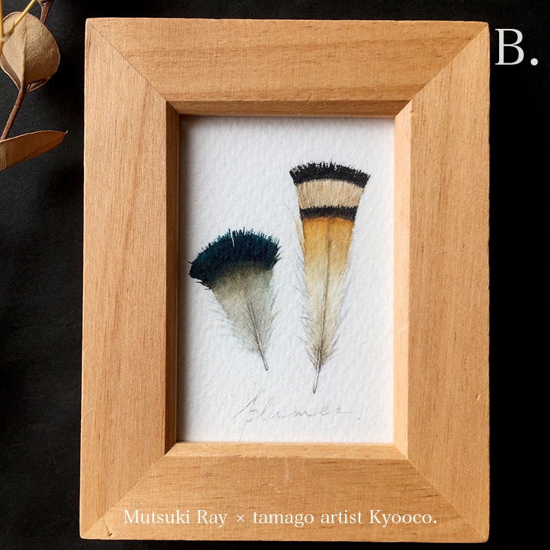 ミニ原画 -羽標本-