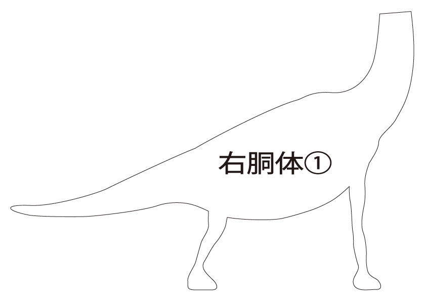 ブラキオサウルス ダンボールクラフト型紙