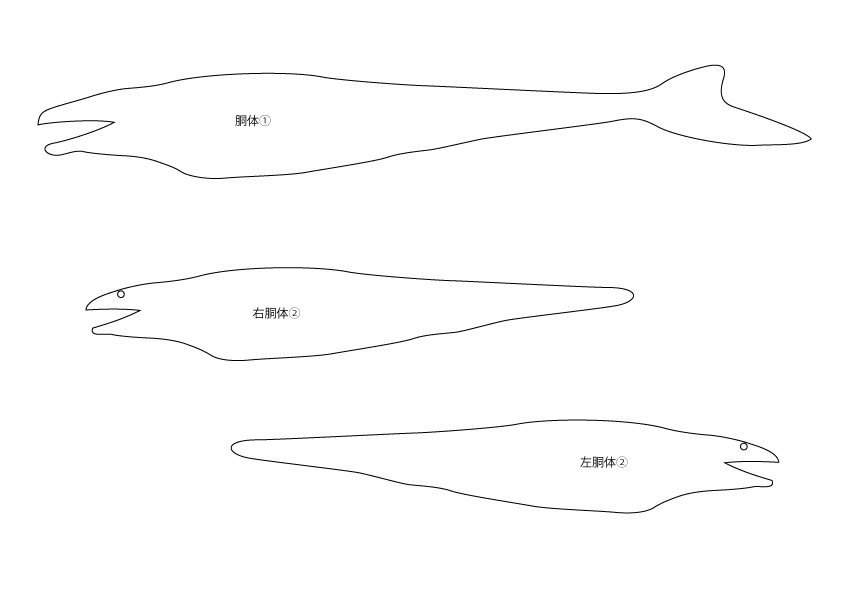 モササウルス ダンボールクラフト型紙