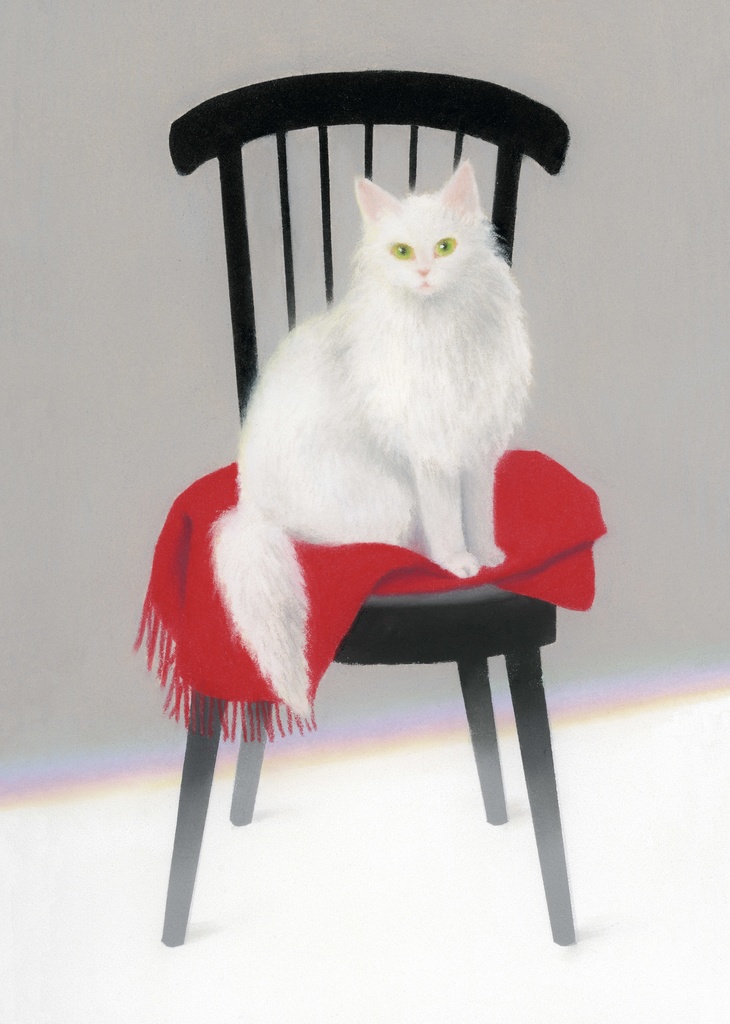 ポストカード／白猫