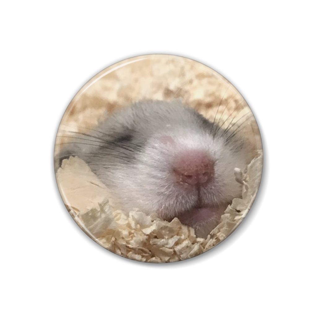 【缶バッジ】おやすみ（ハムスター）