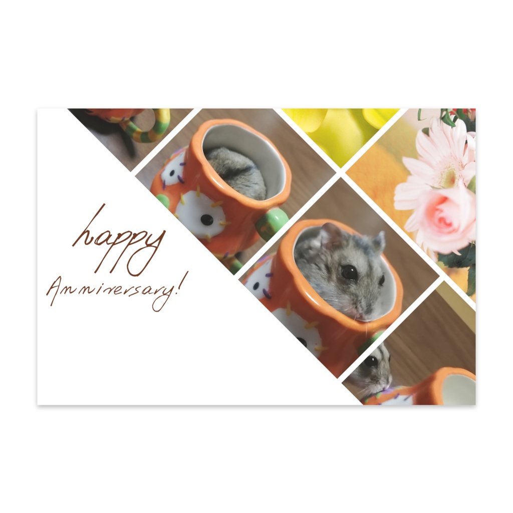 Happy Anniversary（ジャンガリアンハムスター）