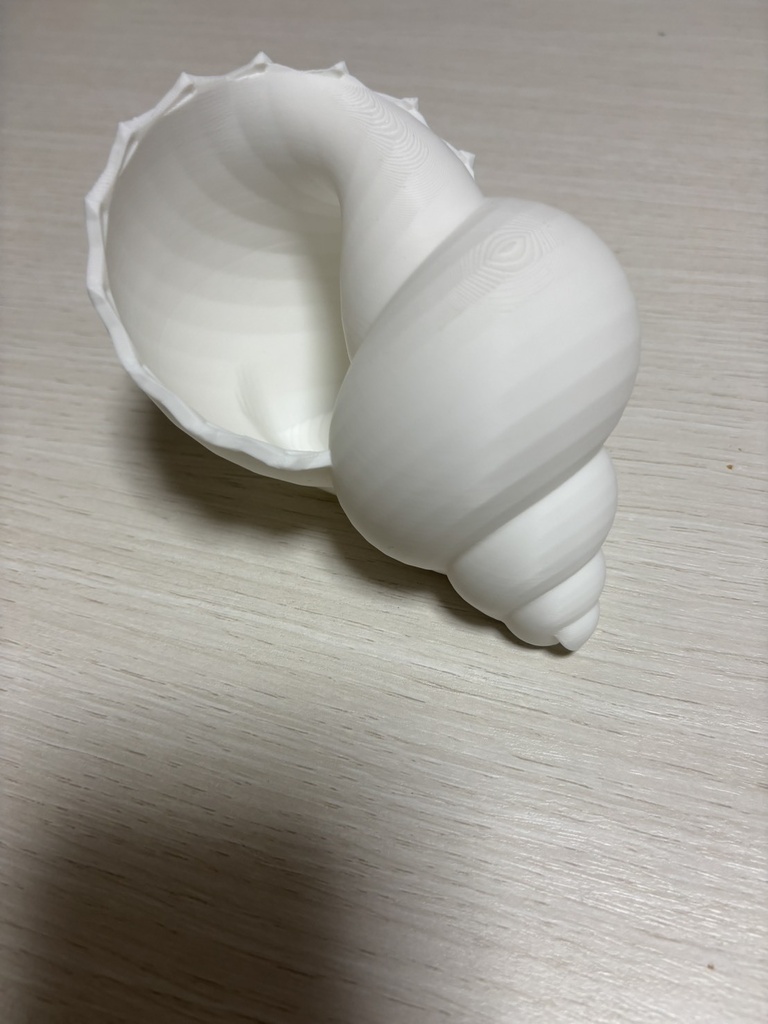 スパイラルほら貝|3Dプリント用 高精細STLモデル