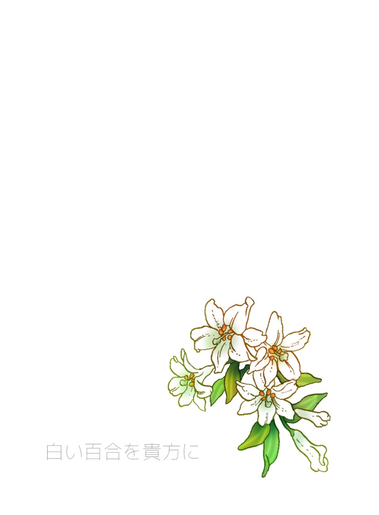 白い百合を貴方に