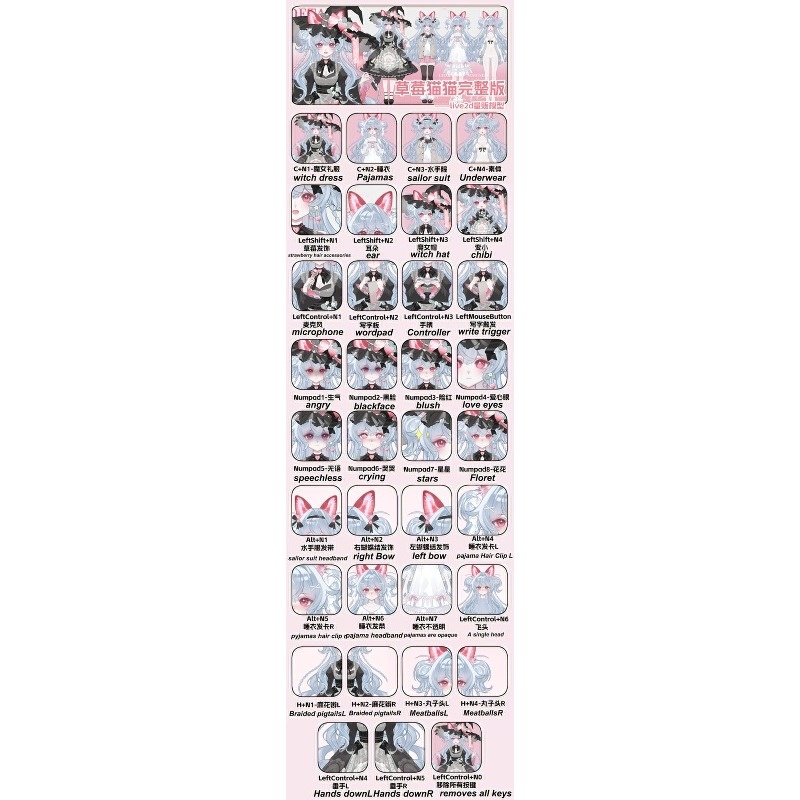 量産型Live2Dモデル-イチゴネコ/Live2d model-Strawberry Cat