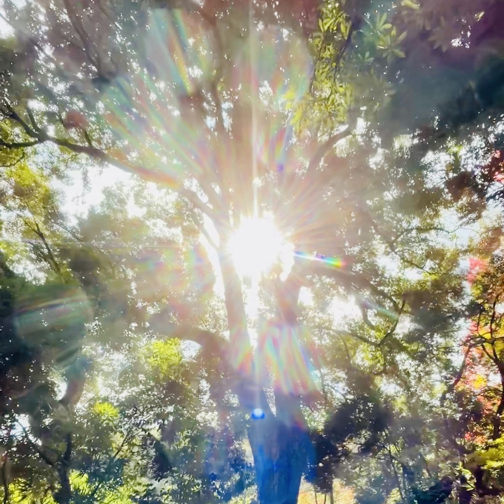 神聖な光芒 ― 魂に触れる光(写真＋アート2枚セット)