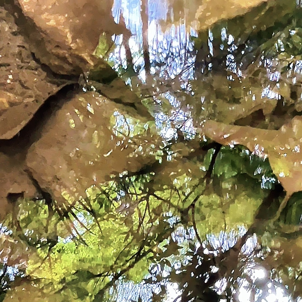 隠された領域の鏡 ― 水面の奥に宿る光
