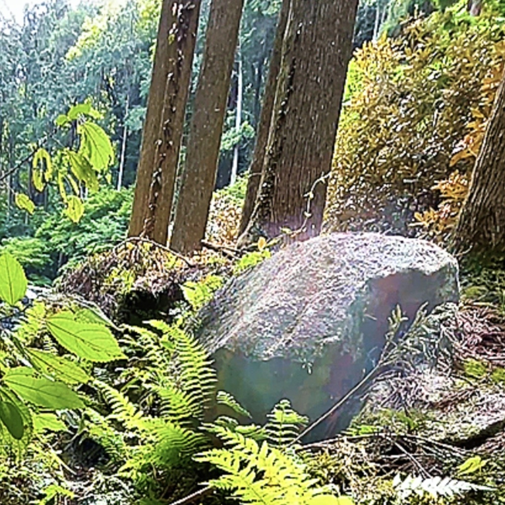 緑の領域のささやき ― 聖なる岩に降りた光