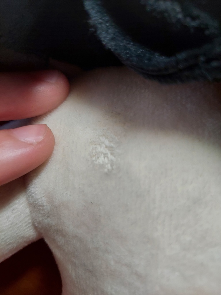 【花童楼】自作ぬいぐるみ【侘椿】