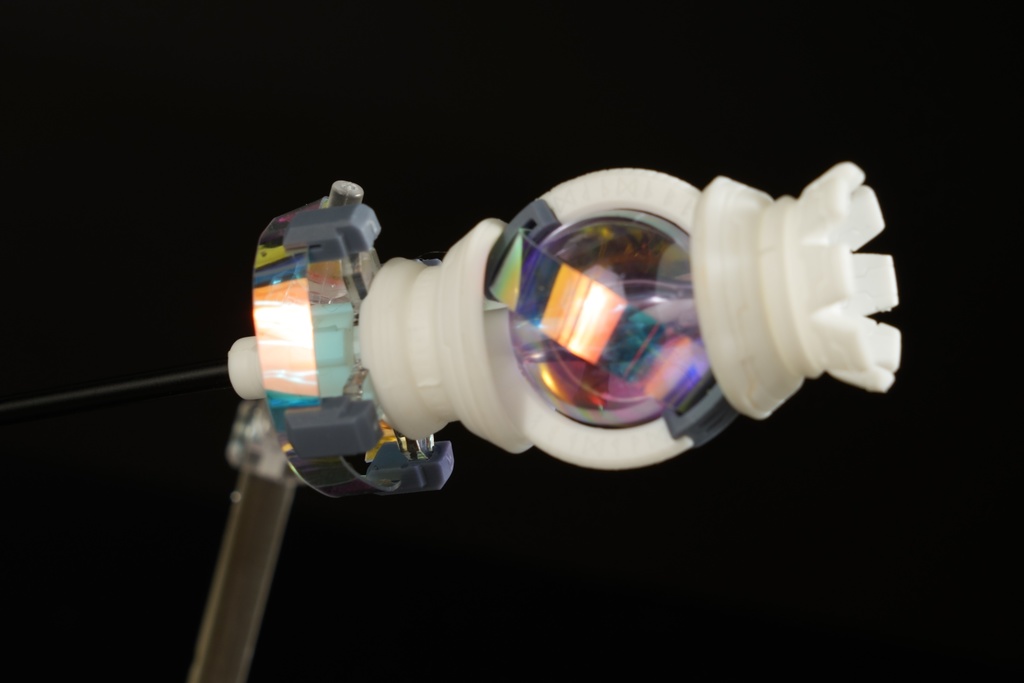 導杖ハナクラギ