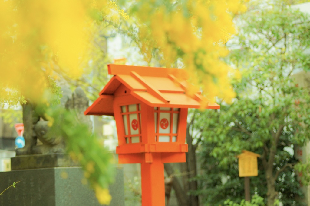 春を灯す|春の入り口(灯籠)