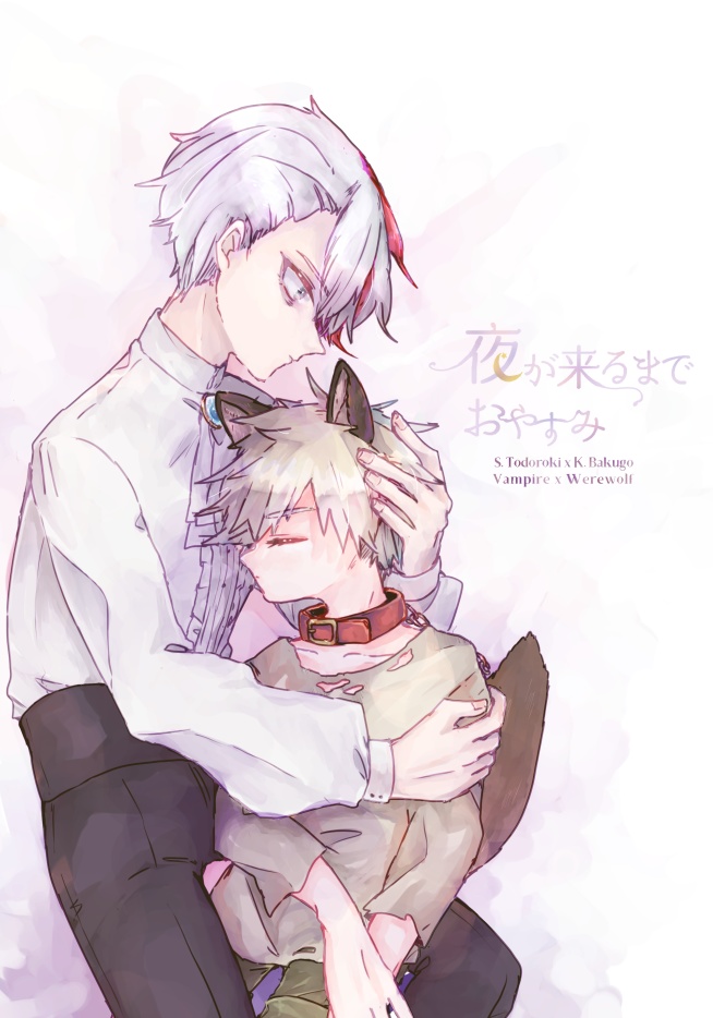 夜が来るまでおやすみ