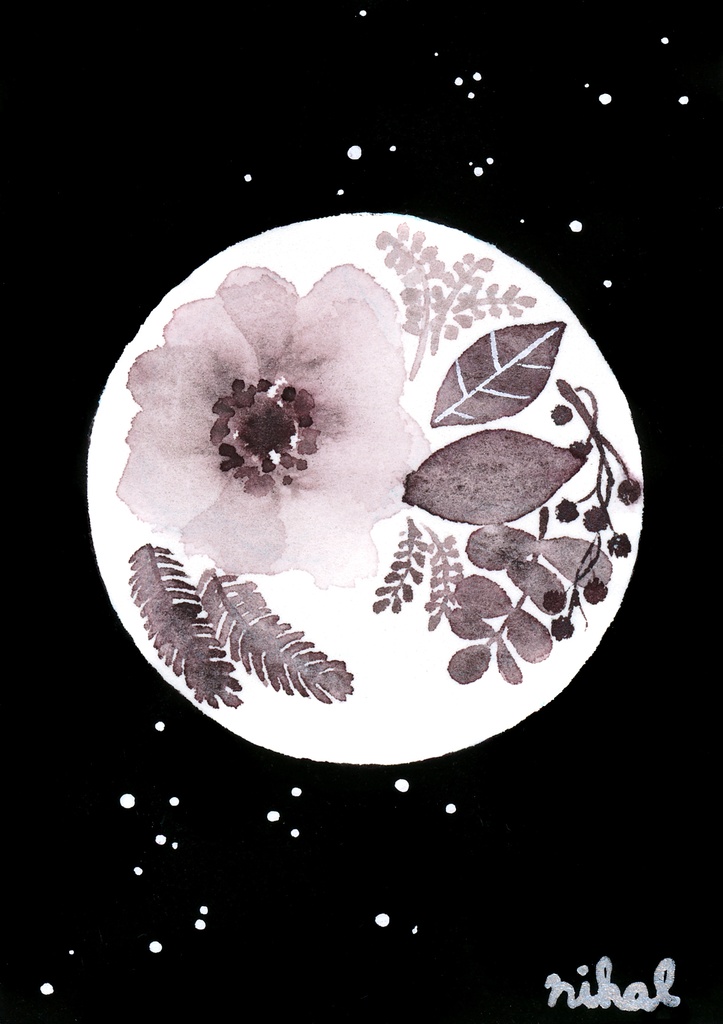 【原画】anemone*moon【ATC】