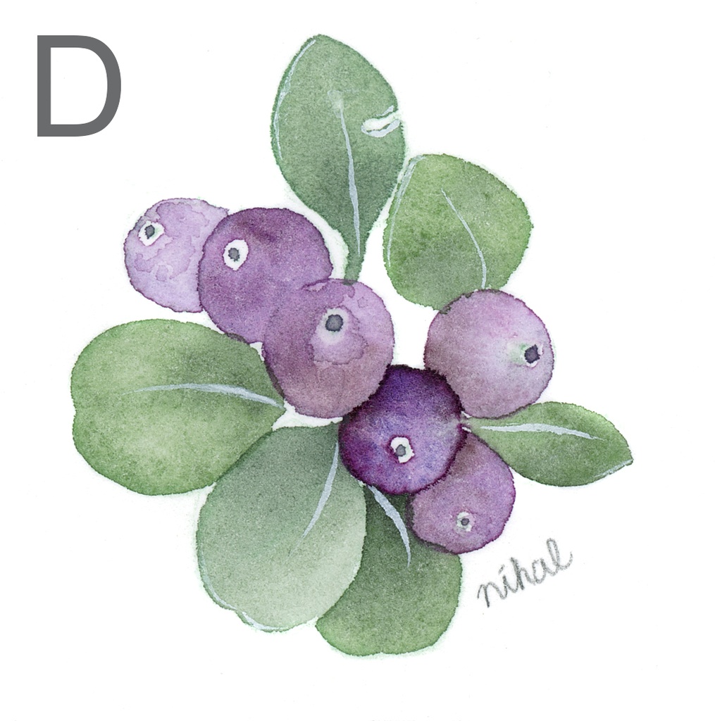 ミニ原画【四角】