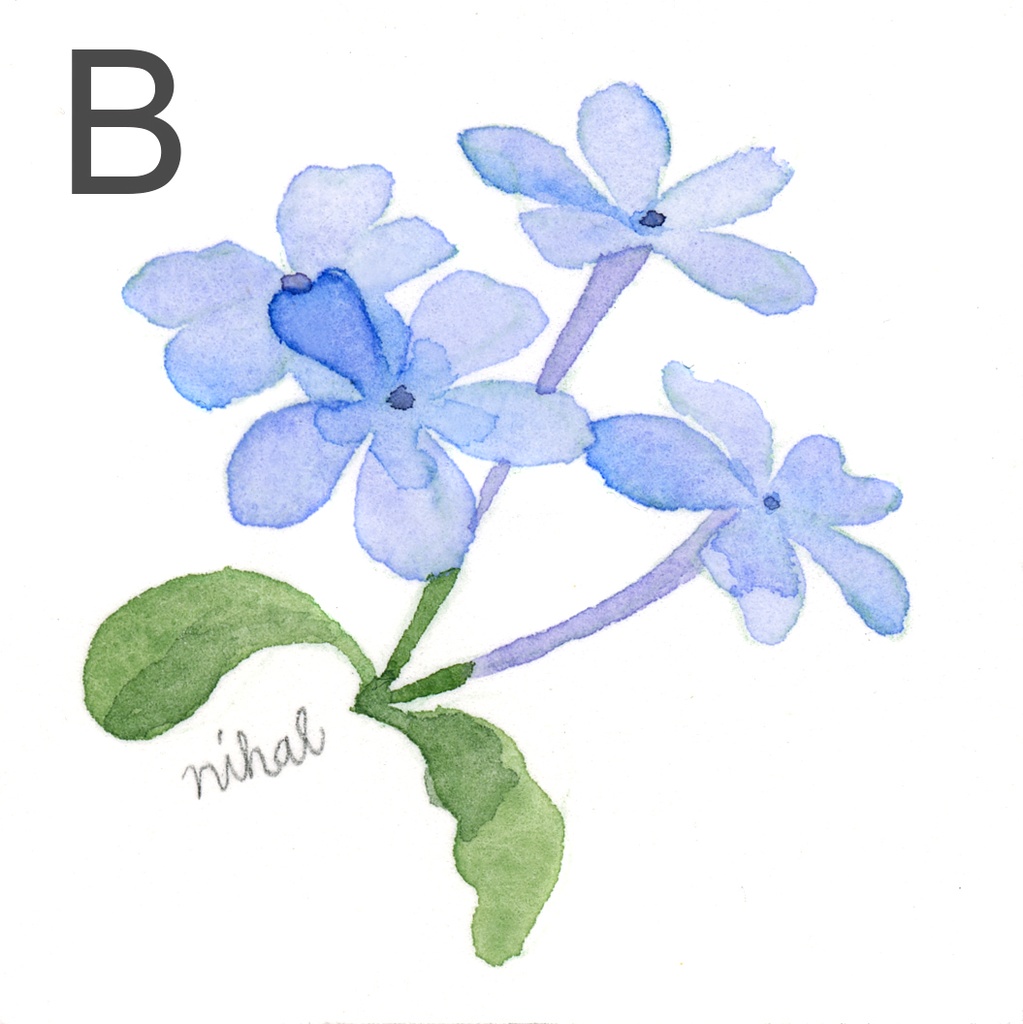 ミニ原画【四角】