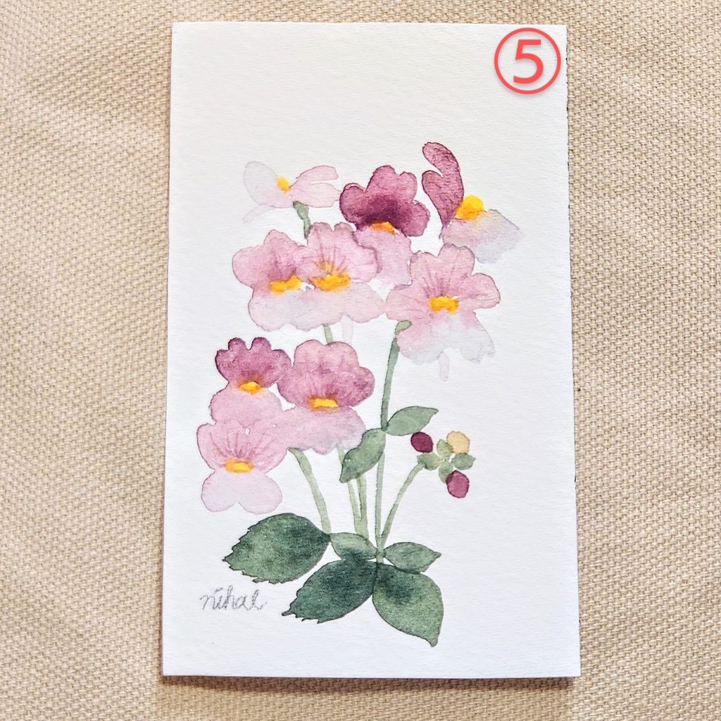 【原画】ドローイング