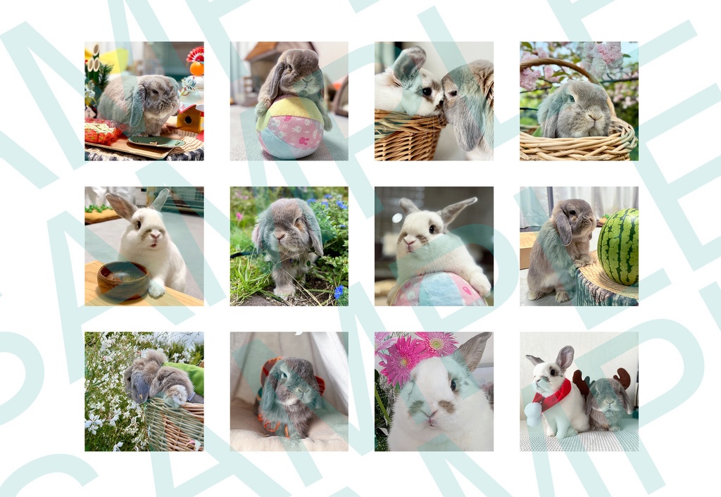 【2026年版】せきとちゃん・おはなちゃん卓上カレンダー