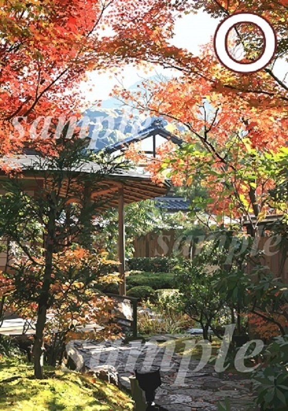 京都モミジの古寺
