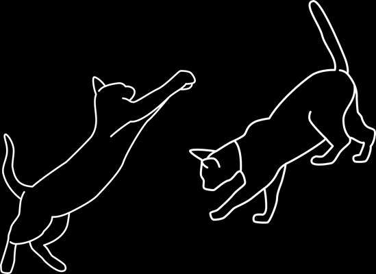 Tシャツ黒 猫線画