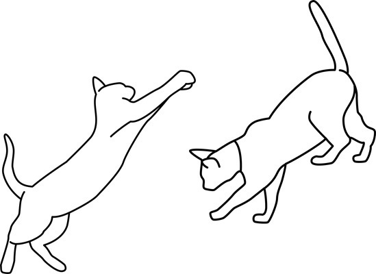 Tシャツ白 猫線画