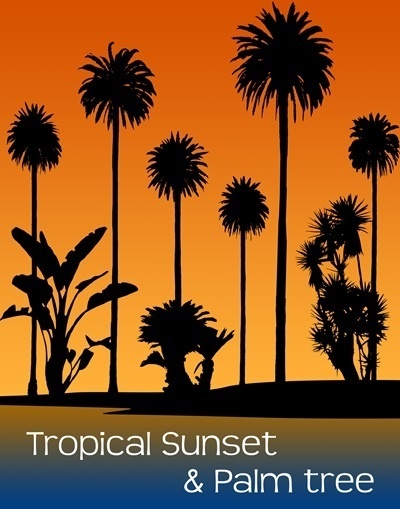 Tシャツ白、トロピカル、サンセット