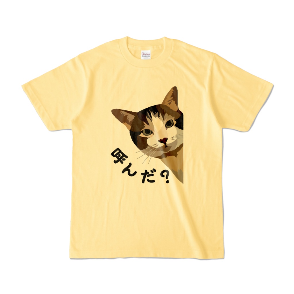 チラッと猫